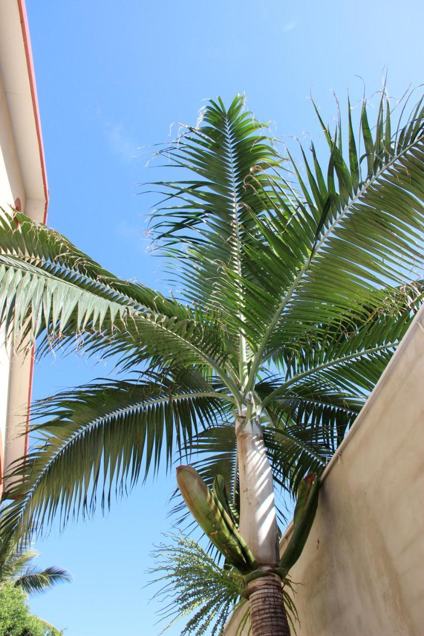 La Kazette - Votre Studio de Vacances à l Île de La Réunion Saint-Louis Exterior foto